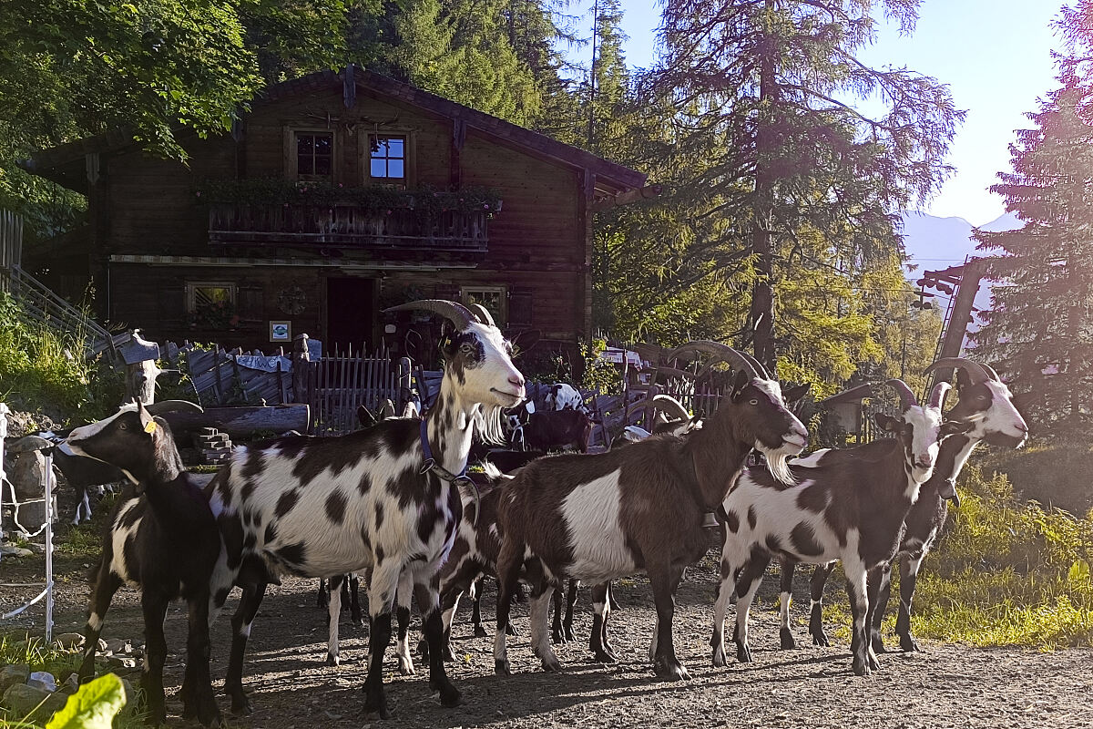 PW - 13 - Marktgschroa