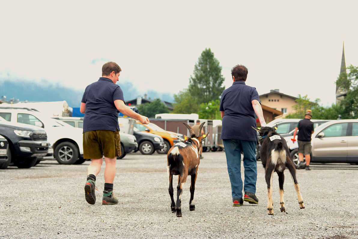 PW - 13 - Marktgschroa