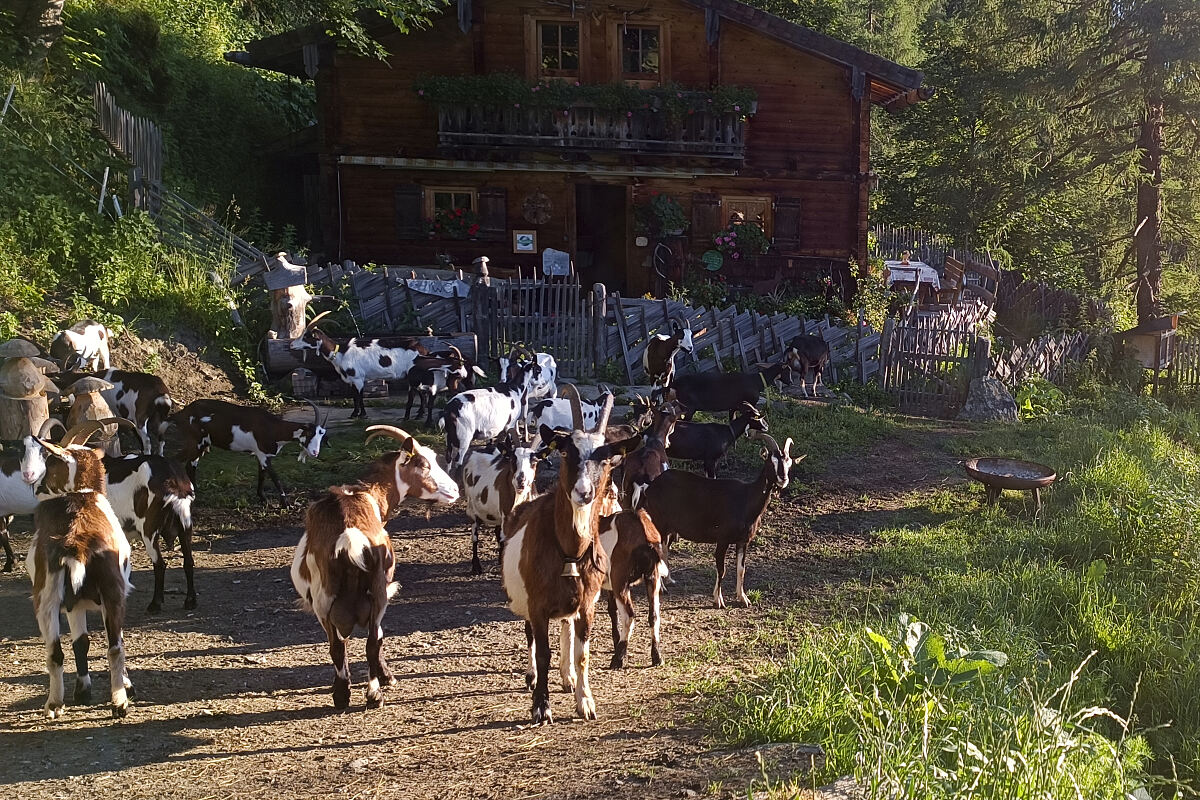 PW - 13 - Marktgschroa