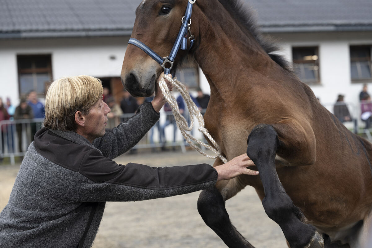 PW - 13 - Marktgschroa