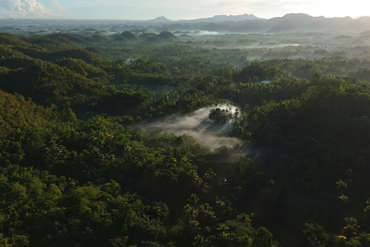 PW - 13 - Wild Philippines - Realm of Jungles