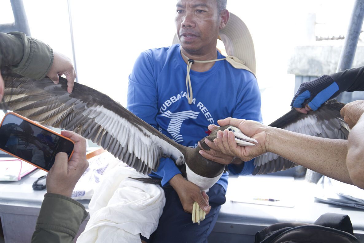 PW - 14 - Wild Philippines - The Adventure