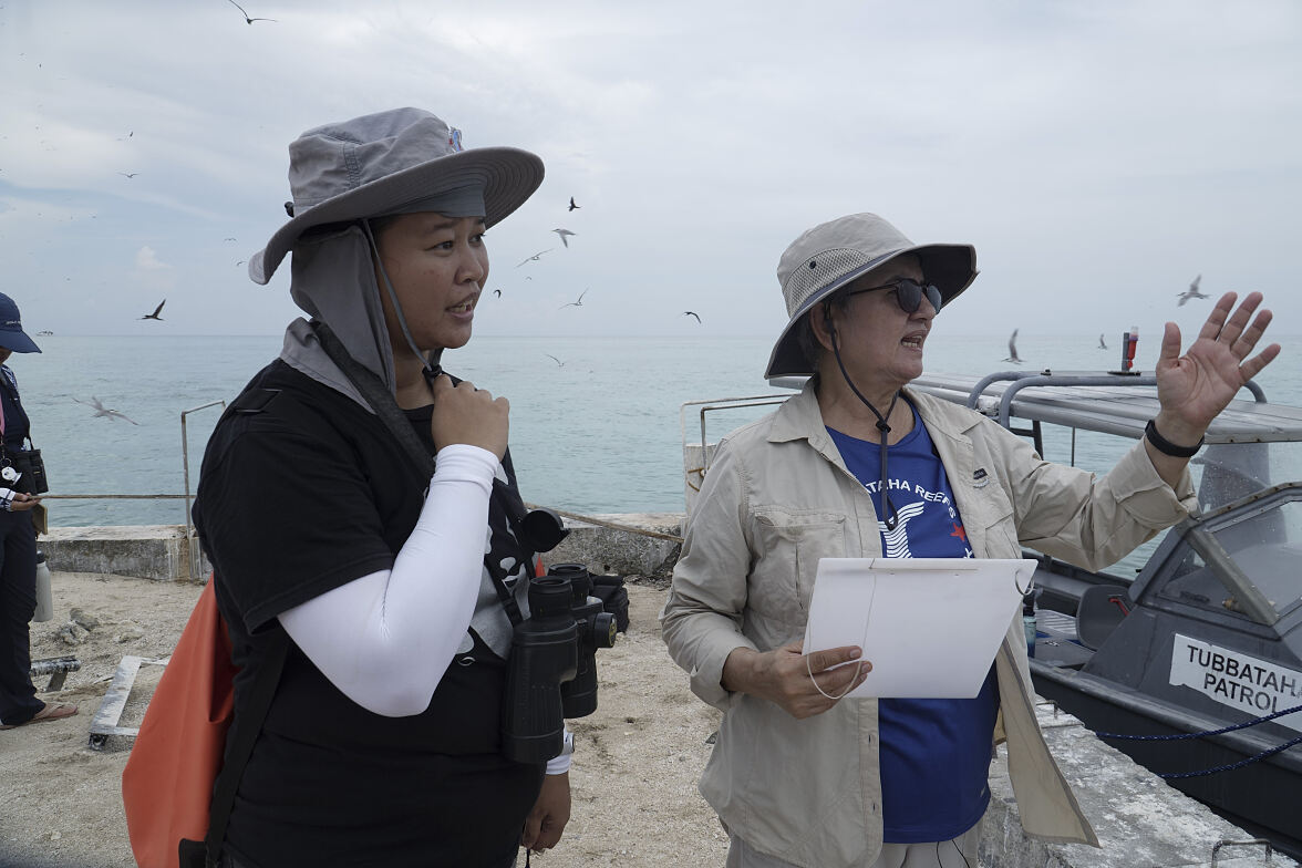 PW - 14 - Wild Philippines - The Adventure