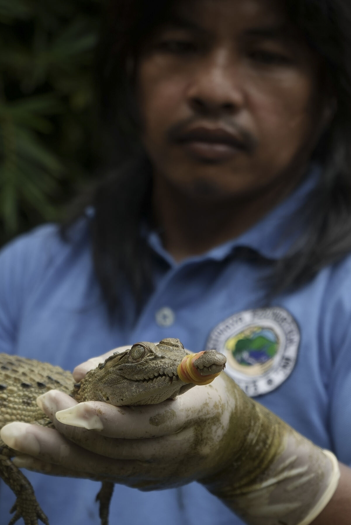 PW - 14 - Wild Philippines - The Adventure