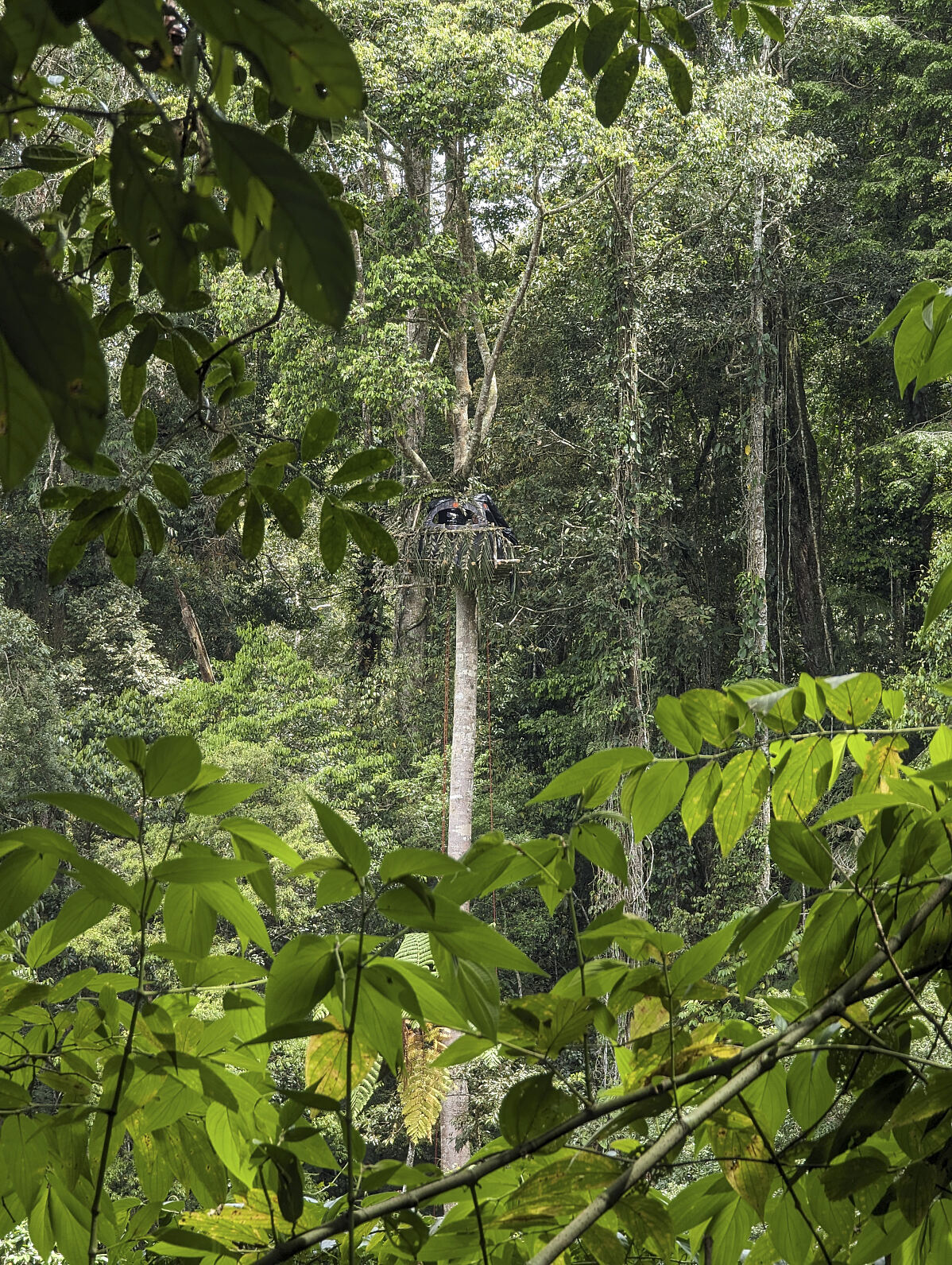 PW - 14 - Wild Philippines - The Adventure