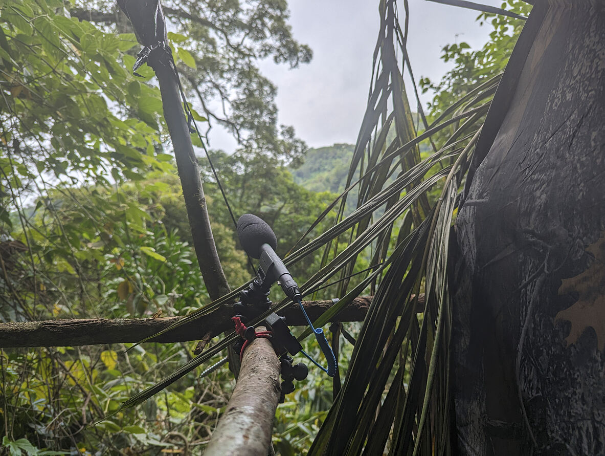 PW - 14 - Wild Philippines - The Adventure