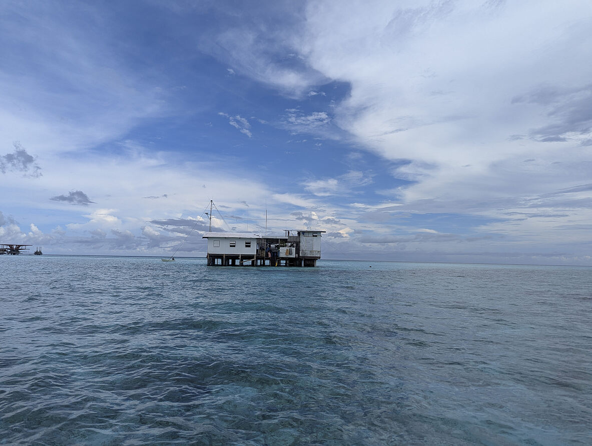 PW - 14 - Wild Philippines - The Adventure