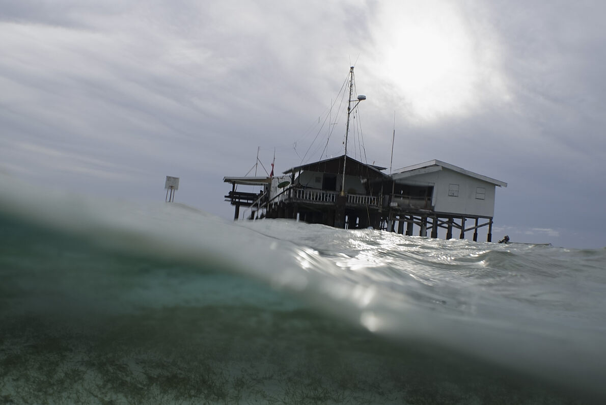 PW - 14 - Wild Philippines - The Adventure