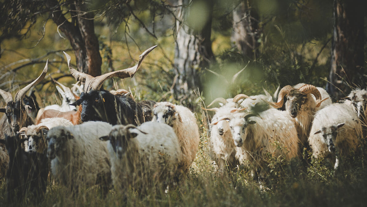 PW - 14 - Heimatleuchten - Hier lässt sich’s leben - Mit eigenen Händen