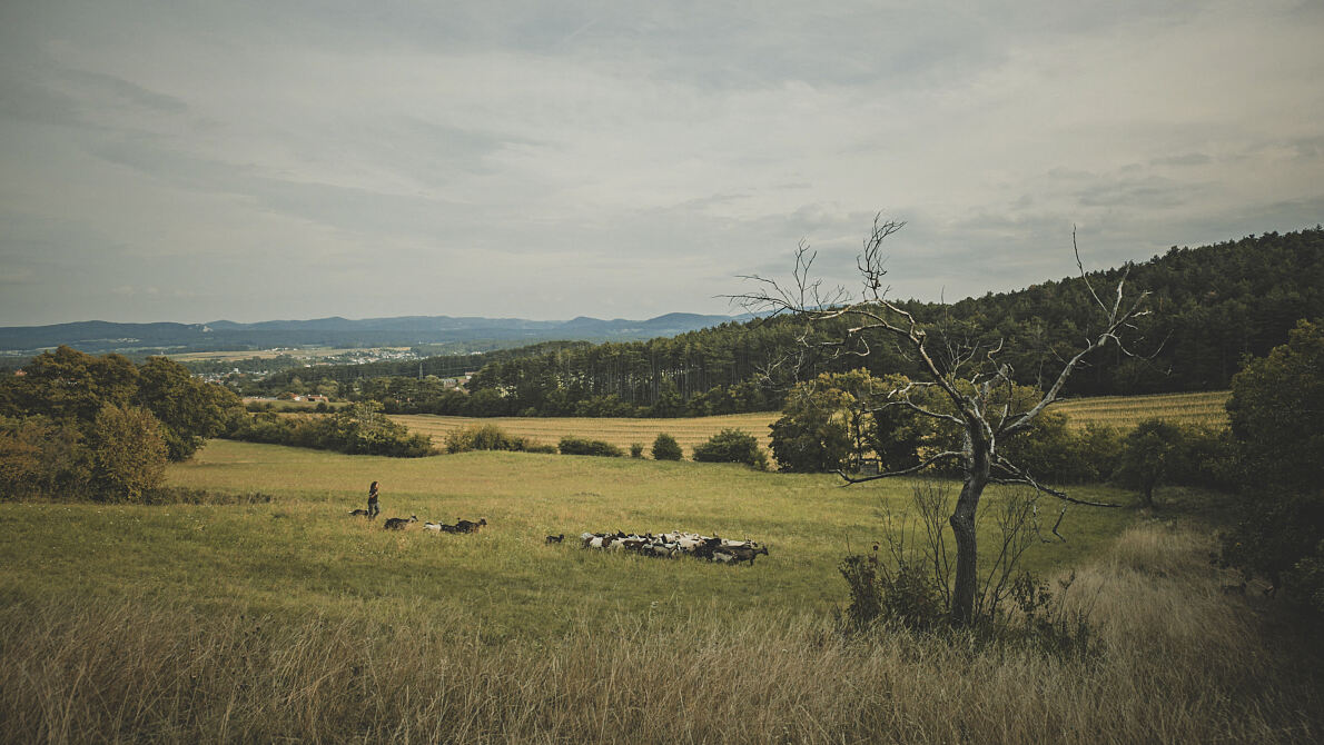 PW - 14 - Heimatleuchten - Hier lässt sich’s leben - Mit eigenen Händen