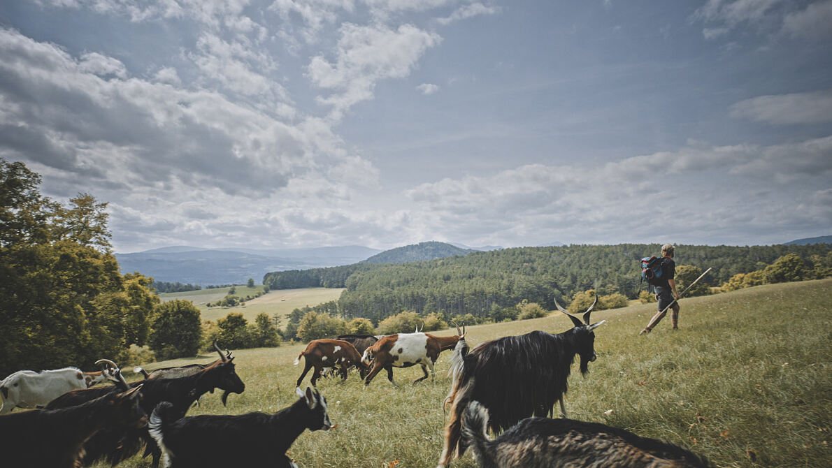PW - 14 - Heimatleuchten - Hier lässt sich’s leben - Mit eigenen Händen