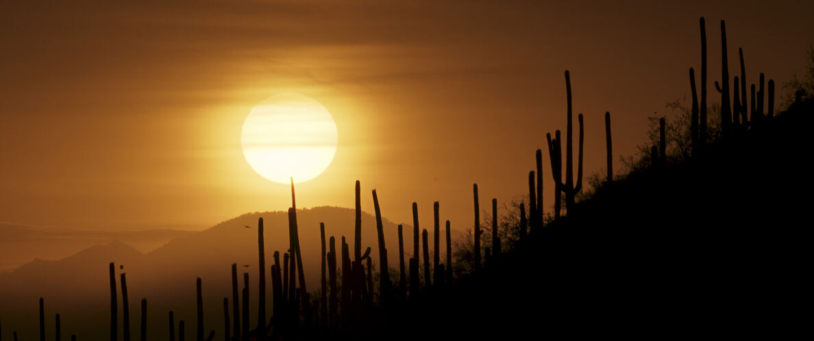 PW - 15 - The Mighty Colorado