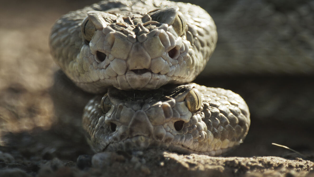 PW - 15 - The Mighty Colorado