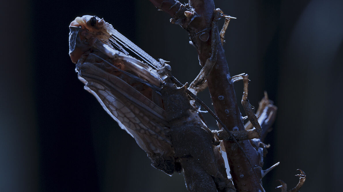 PW - 15 - The Mighty Colorado