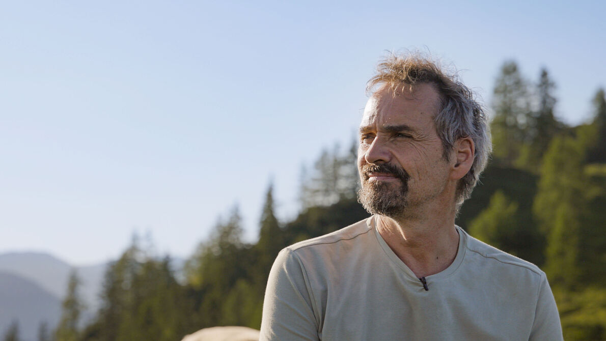 PW - 16 - Heimatleuchten - Das Tal entlang der Lammer