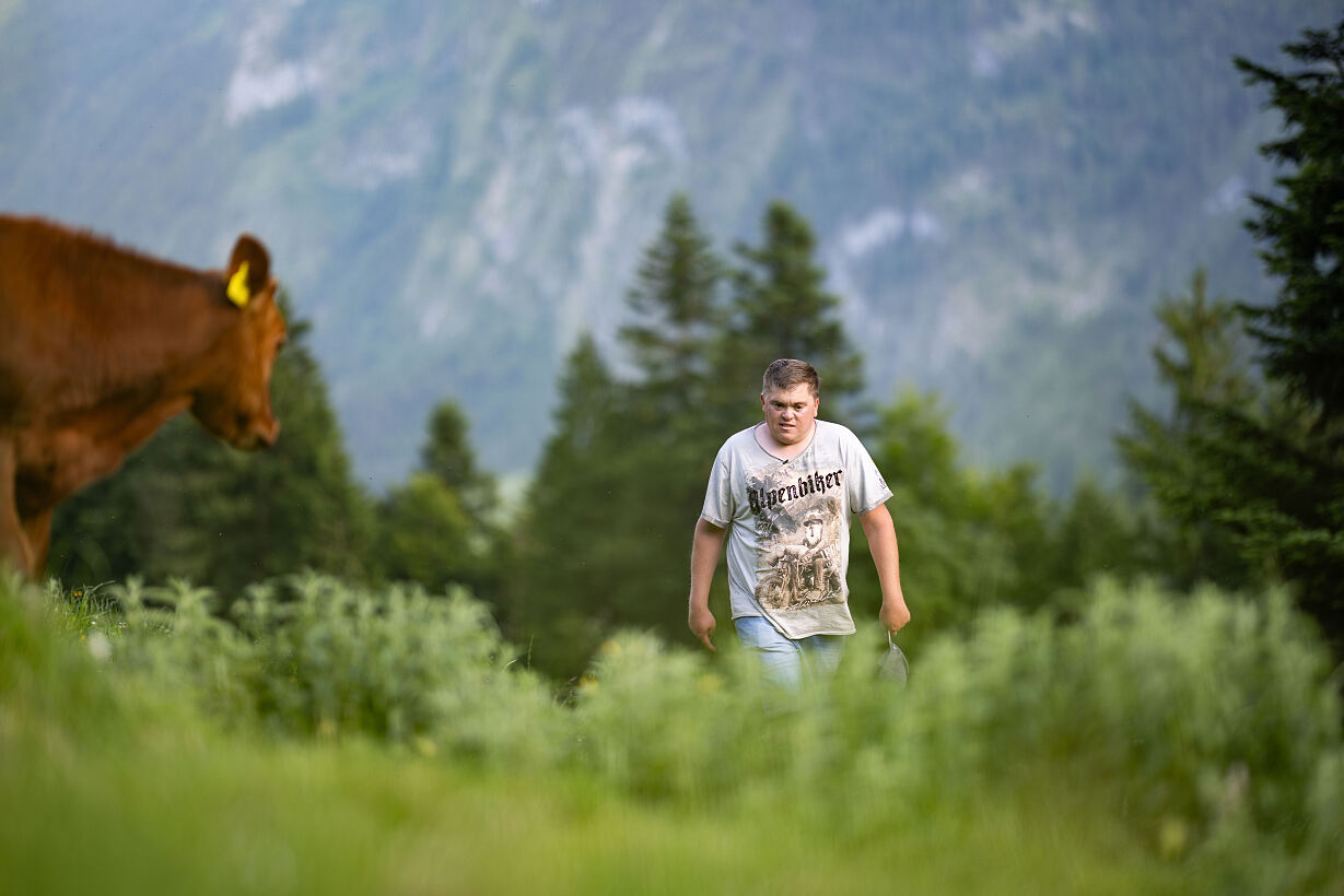 PW - 16 - Heimatleuchten - Das Tal entlang der Lammer