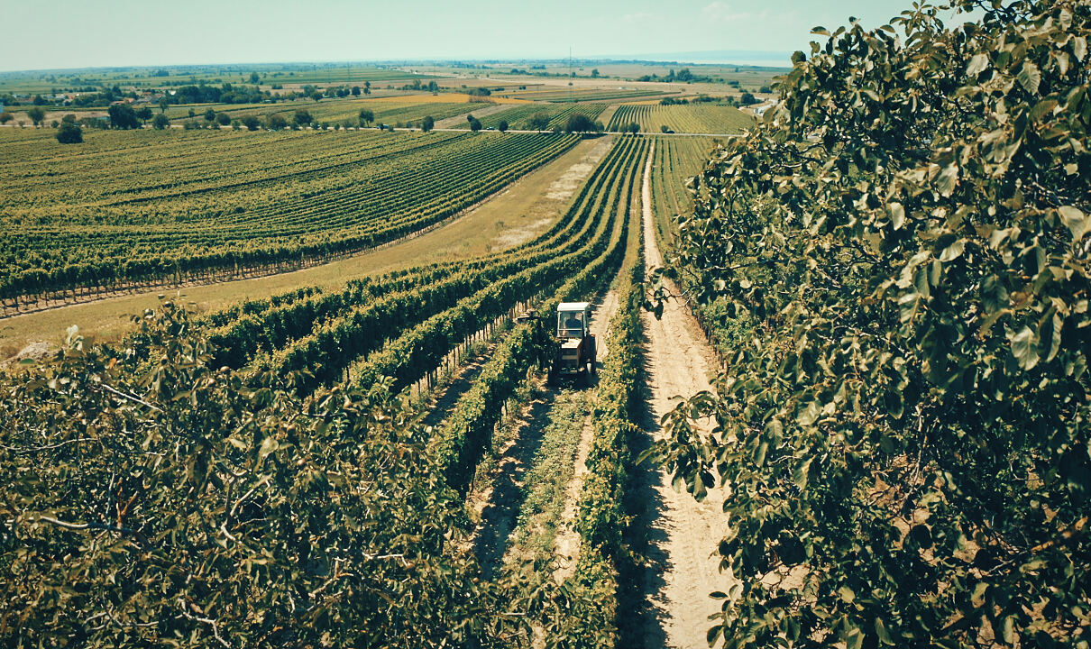 PW - 10 - Heimatleuchten - Hier lässt sich´s leben - Folge 13