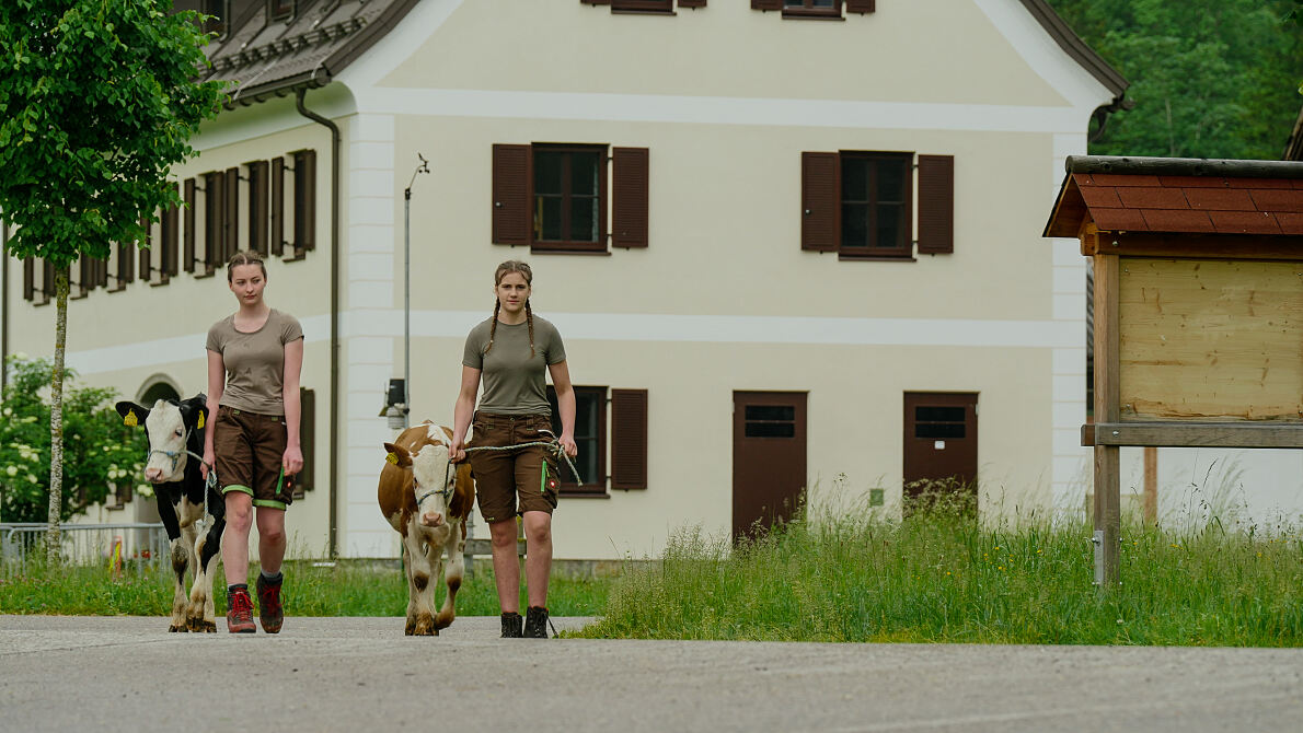PW - 17 - Ich, Bauer -  Koa gmahde Wiesn