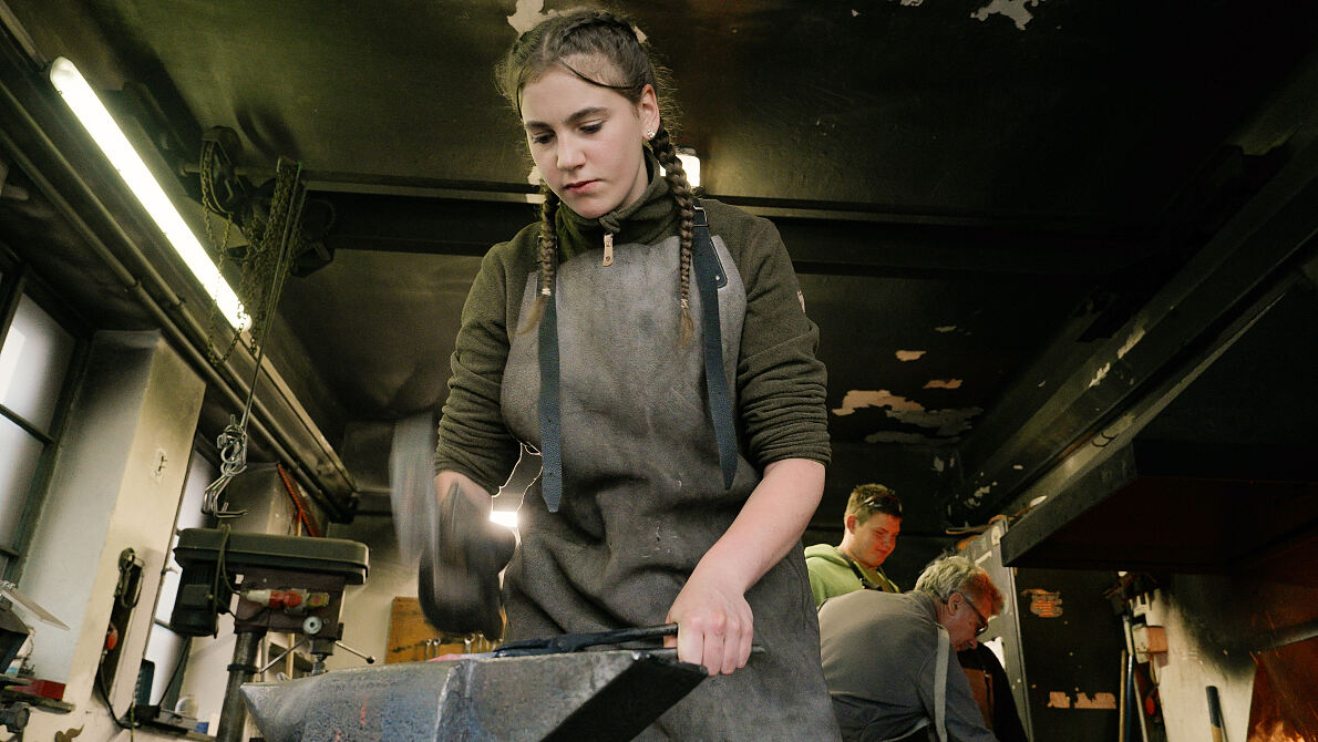 PW - 17 - Ich, Bauer -  Koa gmahde Wiesn