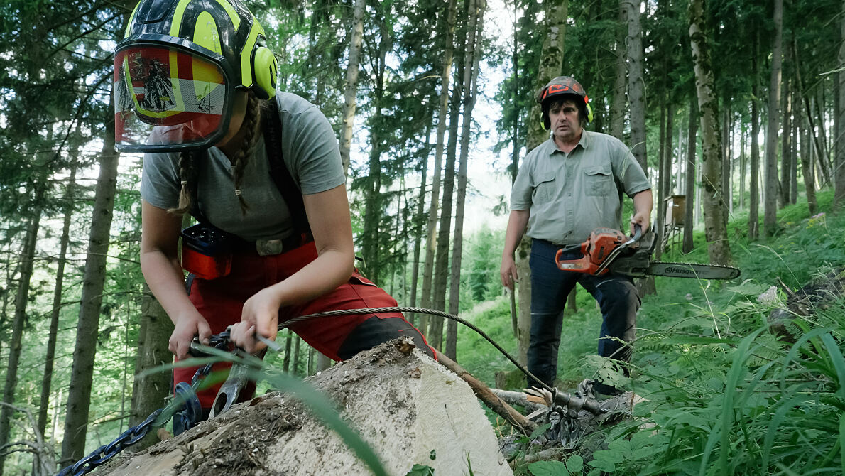 PW - 17 - Ich, Bauer -  Koa gmahde Wiesn