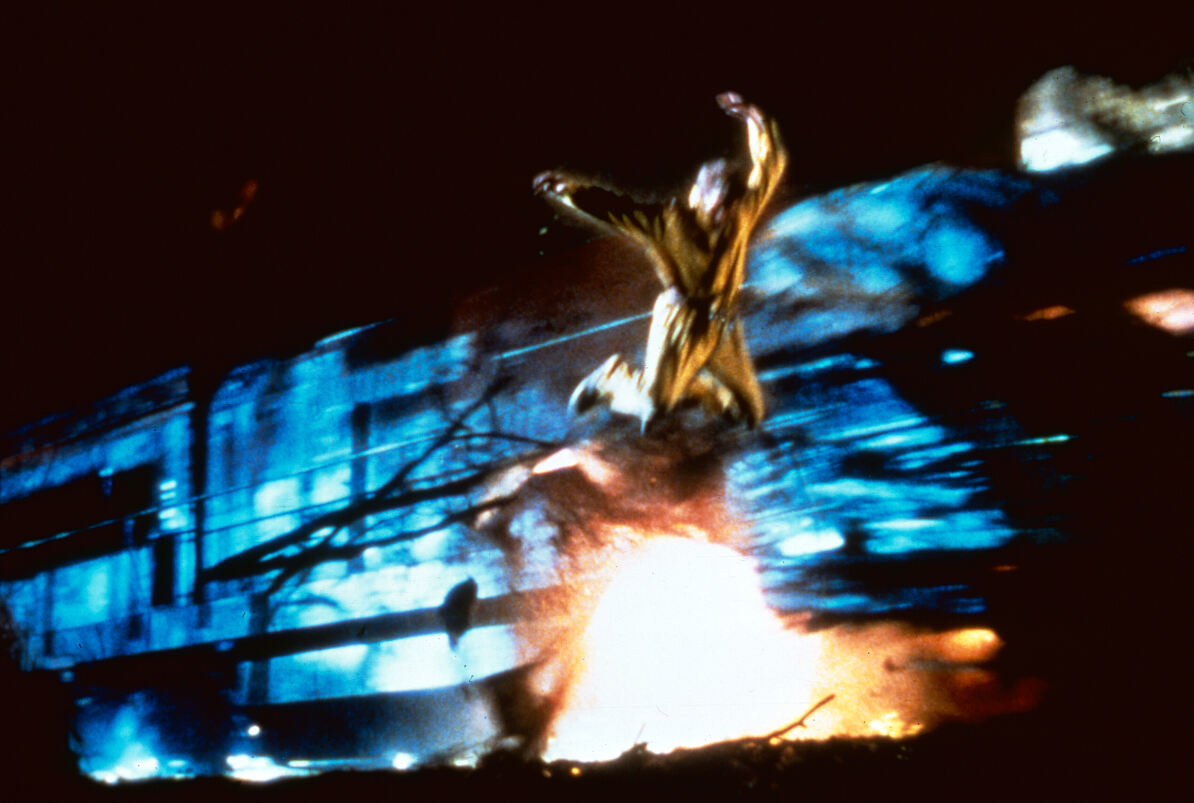 PW - 19 - The Fugitive