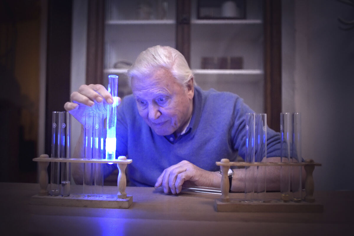 PW - 19 - Terra Mater