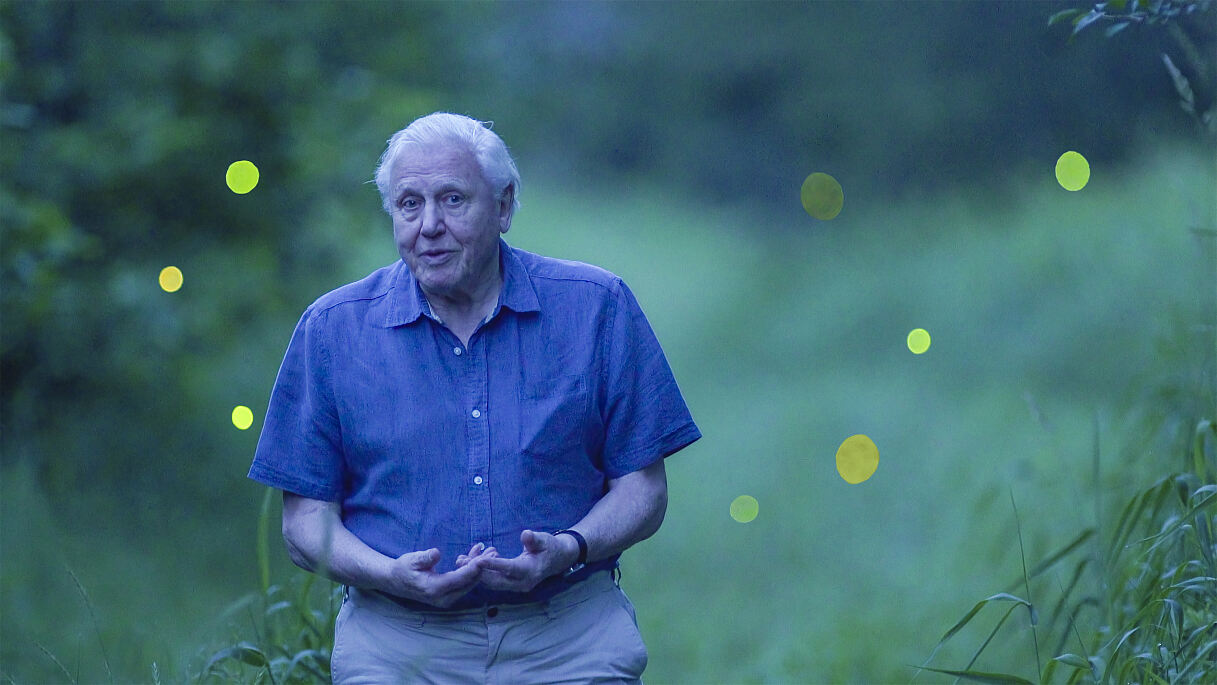 PW - 19 - Terra Mater