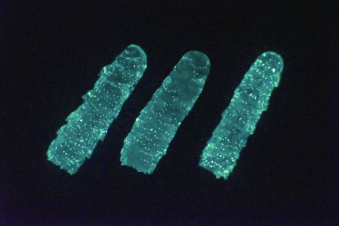 PW - 19 - Terra Mater