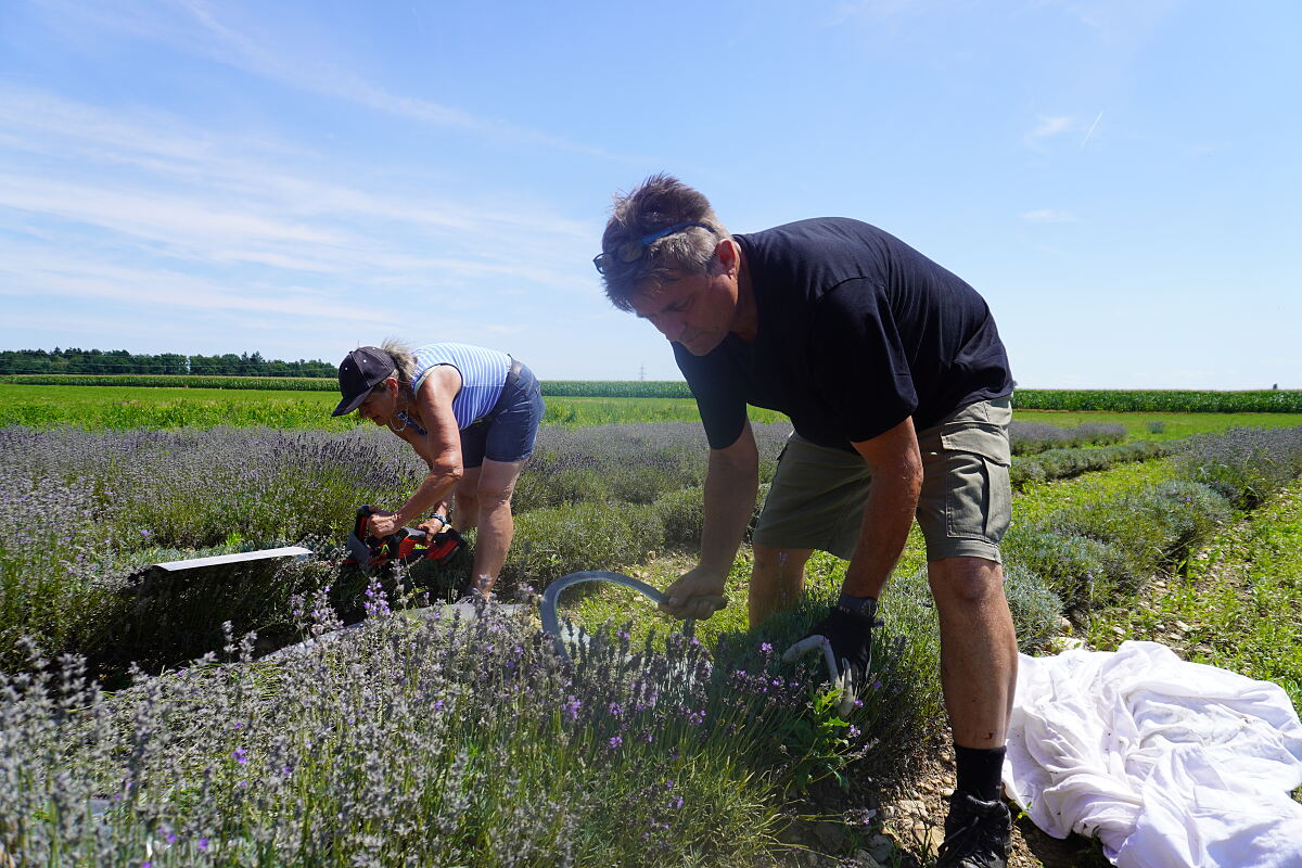 PW - 20 - Heimatleuchten - Im Entdeckerviertel
