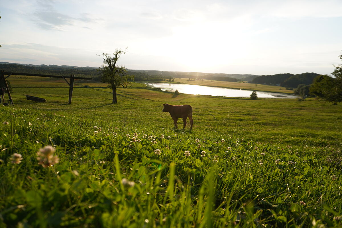 PW - 20 - Heimatleuchten - Im Entdeckerviertel