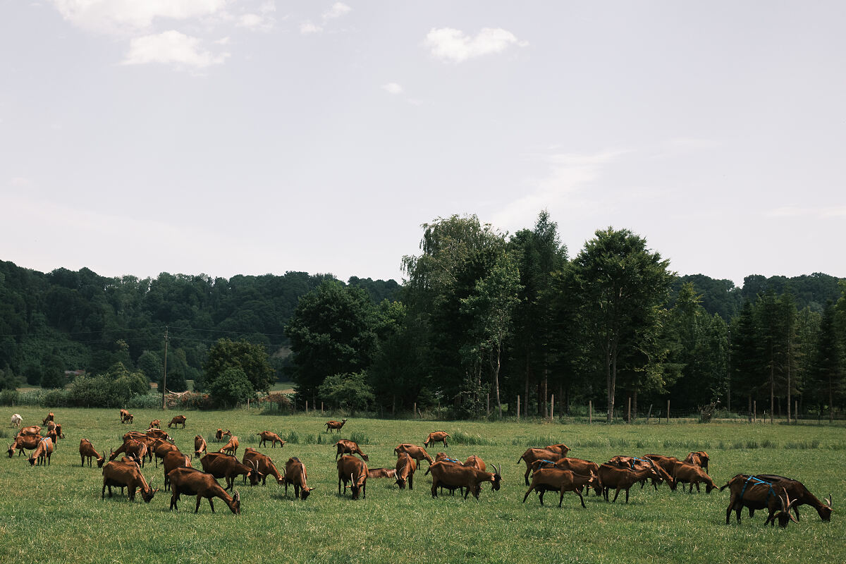 PW - 20 - Heimatleuchten - Im Entdeckerviertel