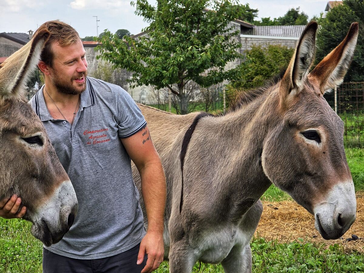 PW - 21 - Heimatleuchten - Triest - Sehnsucht Süden