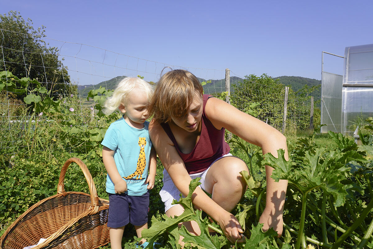 PW - 21 - Heimatleuchten - Sommer im Bauernjahr