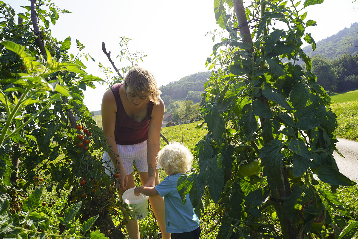PW - 21 - Heimatleuchten - Sommer im Bauernjahr
