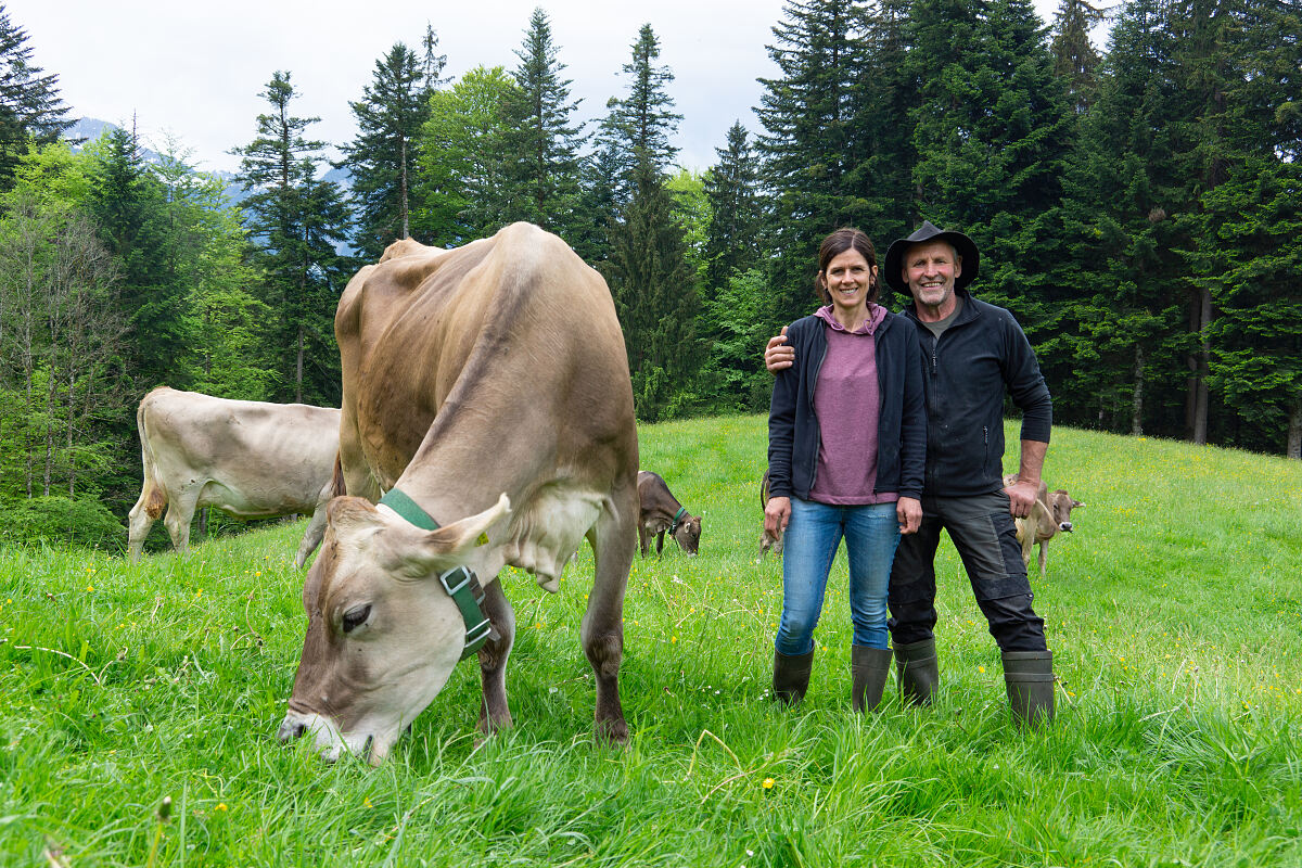 PW - 21 - Heimatleuchten - Frühling im Bauernjahr