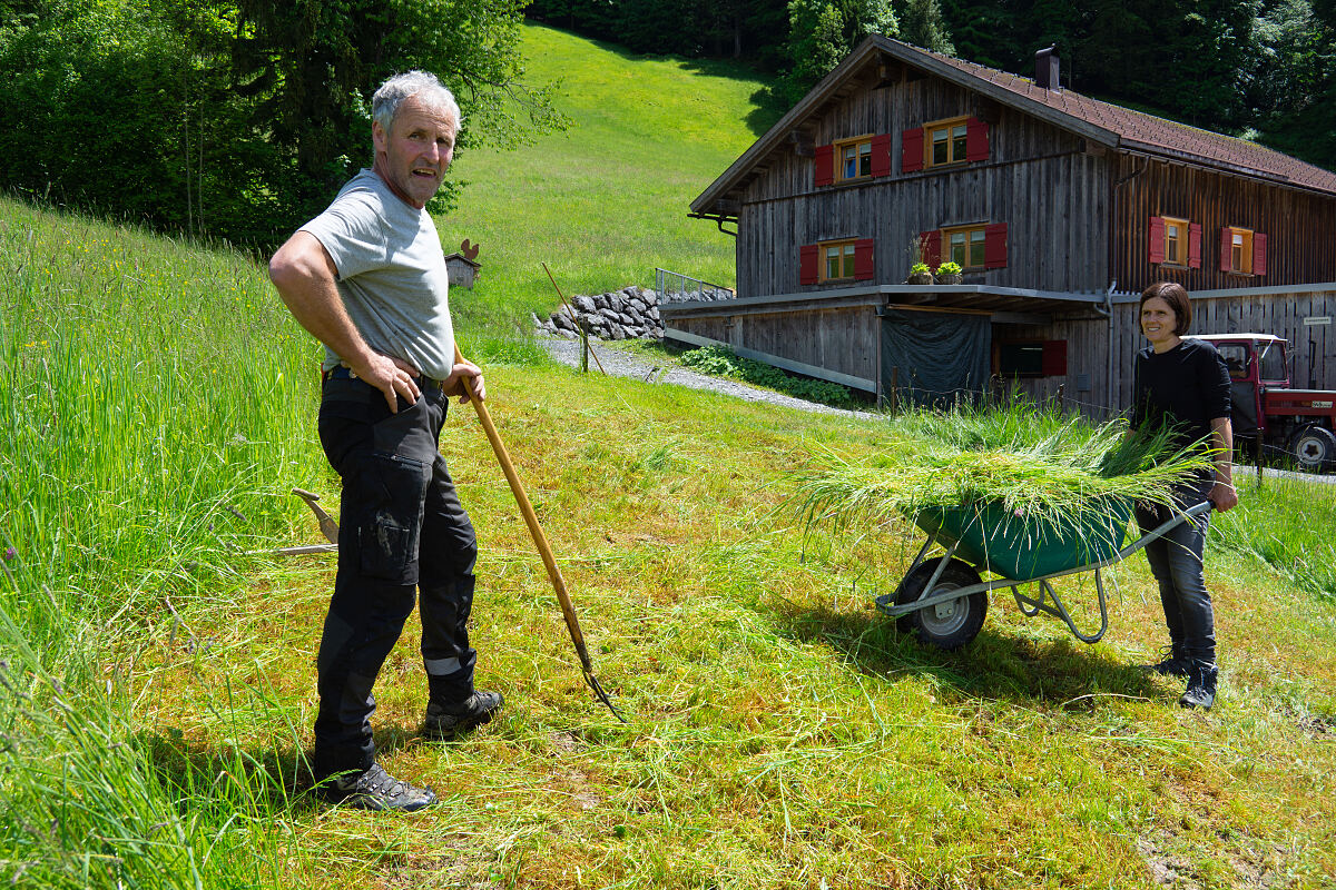 PW - 21 - Heimatleuchten - Frühling im Bauernjahr