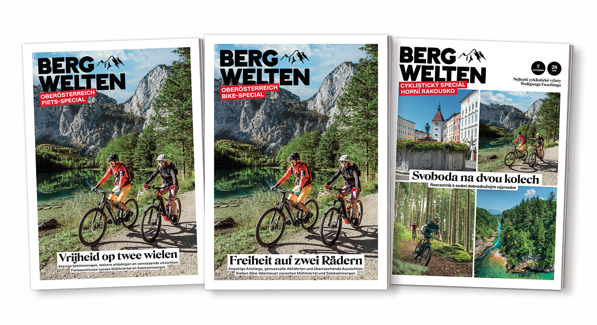 Coverfächer BW Special