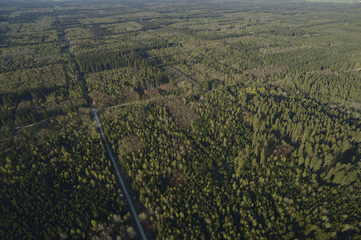 PW - 22 - Unsere Wälder - Mut zur Lücke
