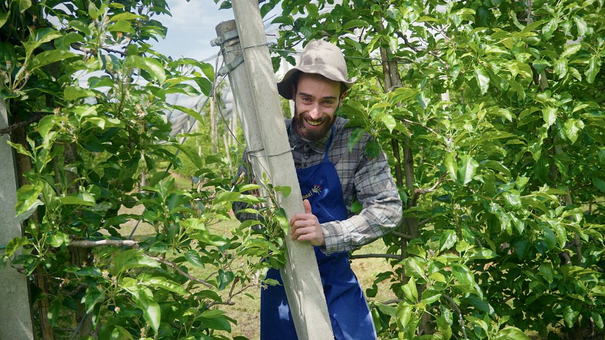 PW - 24 - Buonomemes - Vom Internet auf die Bühne