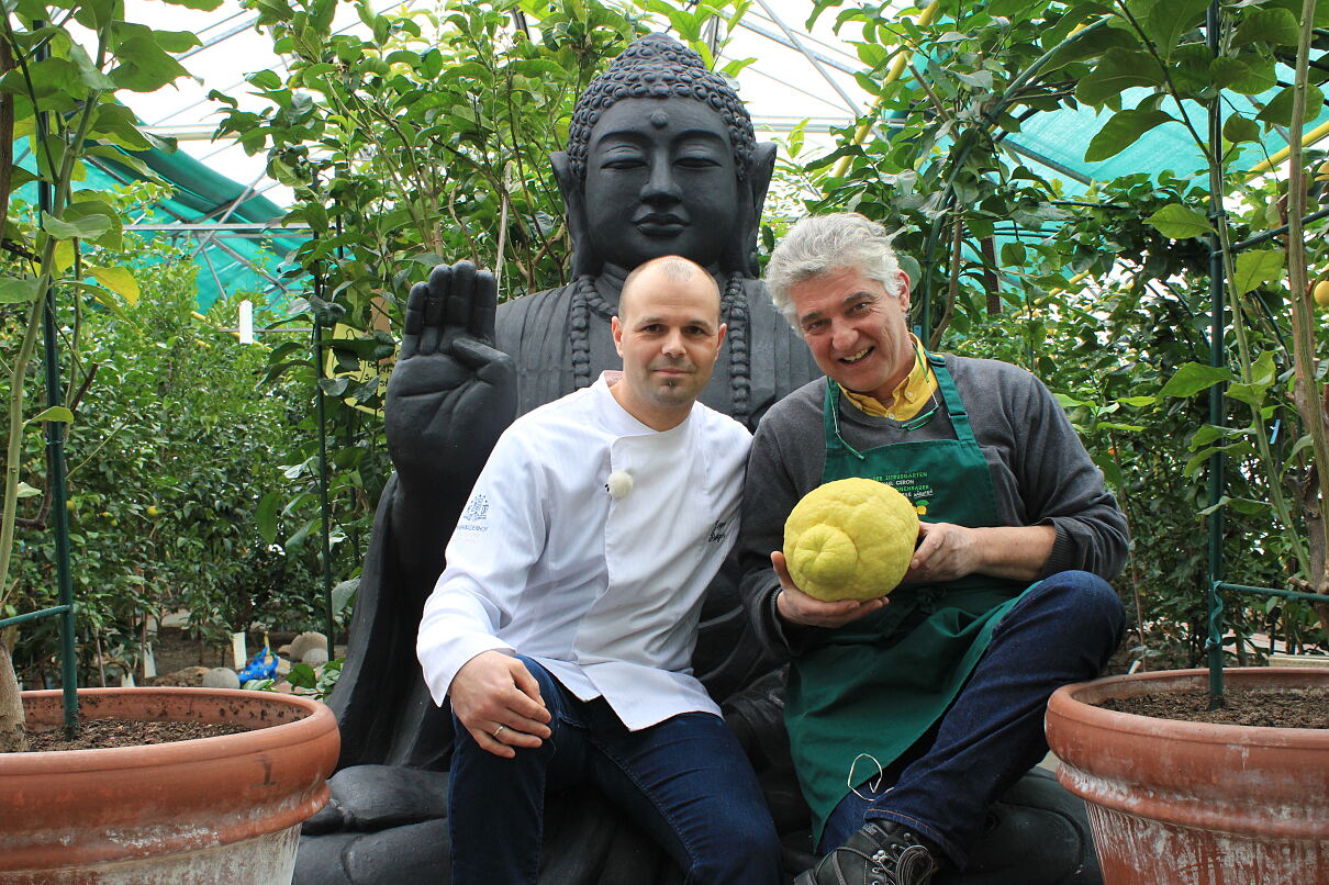 PW - 24 - Einzelproduktionen