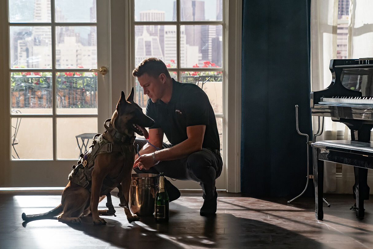 PW - 27 - Dog - Das Glück hat vier Pfoten