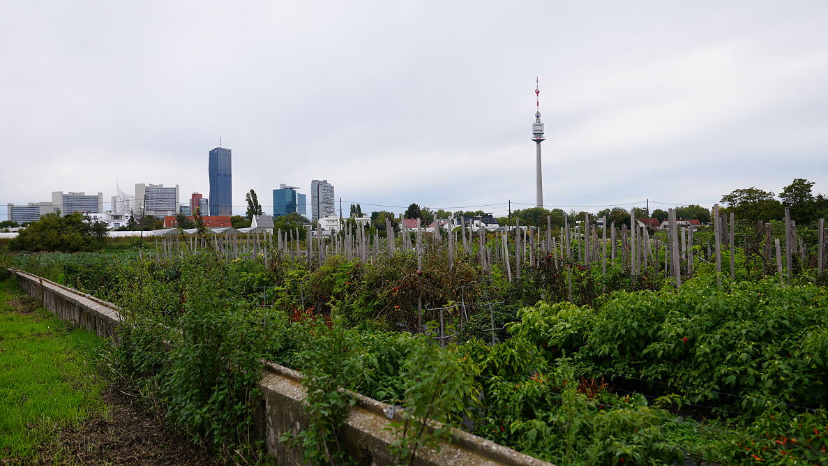 PW - 28 - Heimatleuchten - Wiener Märkte
