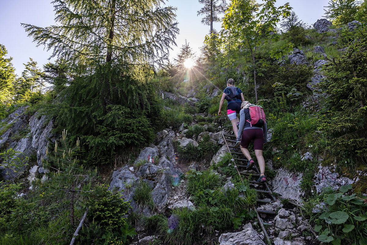 PW - 30 - Bergwelten - Hoch über Bad Ischl 