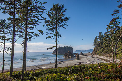 PW - 32 - Amerikanische Westküste - Auf der Olympic Peninsula