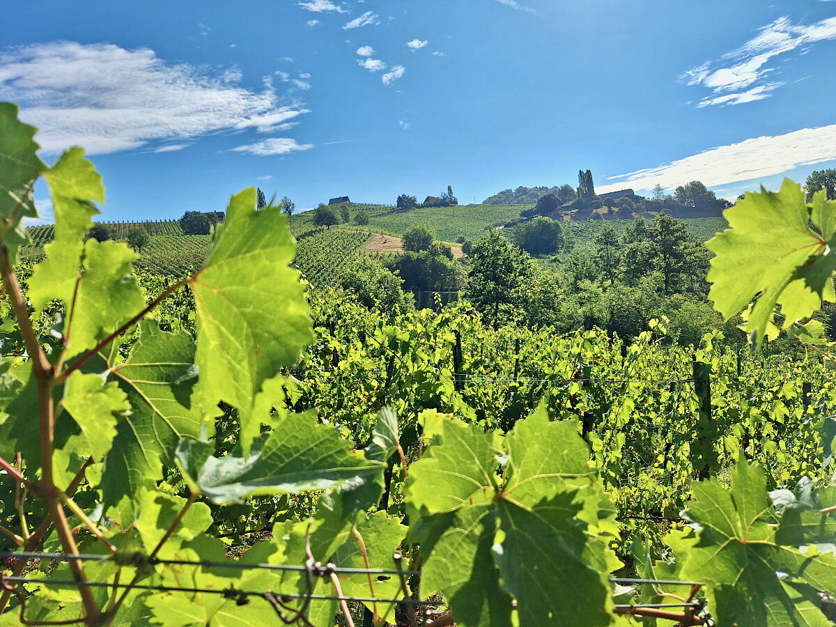 PW - 43 - Heimatleuchten - Zwischen Tradition und Zukunft – durch die Südsteiermark mit Richard Deutinger