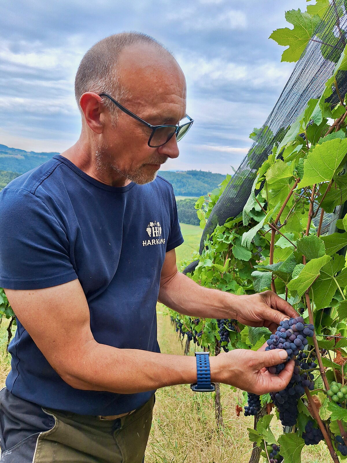 PW - 43 - Heimatleuchten - Zwischen Tradition und Zukunft – durch die Südsteiermark mit Richard Deutinger
