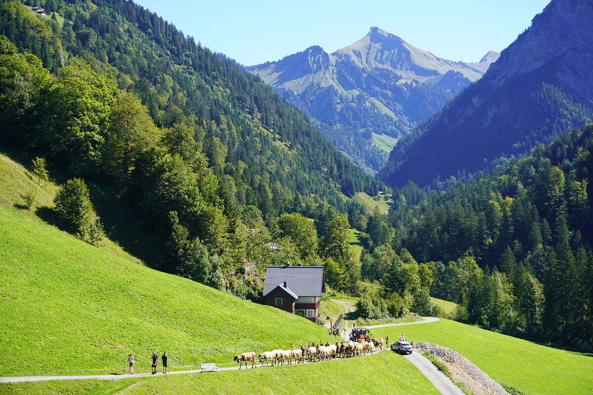 PW - 44 - Heimatleuchten - Montafon