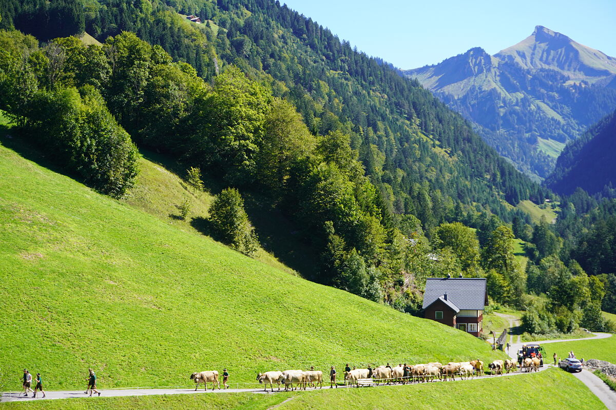 PW - 44 - Heimatleuchten - Montafon