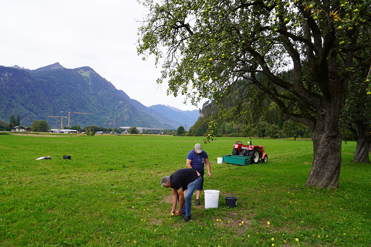 PW - 44 - Heimatleuchten - Montafon