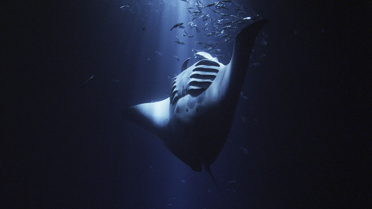 PW - 45 - Ocean at Night